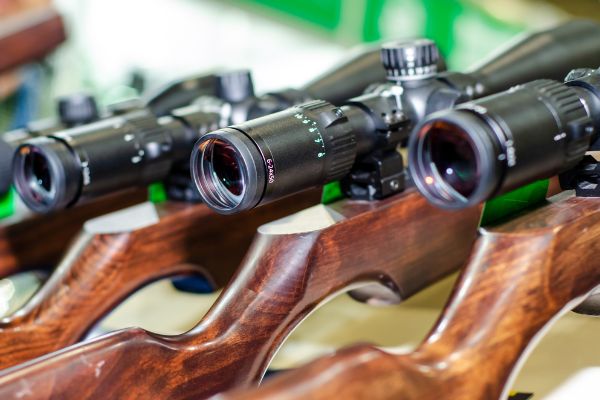 Democrats To Use Home Insurance To Punish Gun Owners