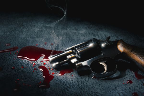 Midnight Bloodshed – A Purge Is Coming To Cop-Less City